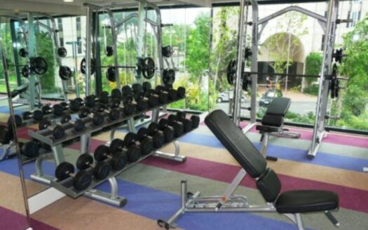 Makati Rockwell Condo One Rockwell East Tower Rent