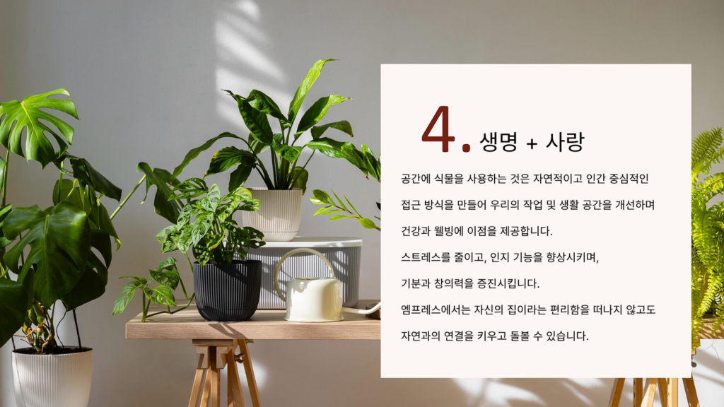 올티가스랜드 Empress Presentation