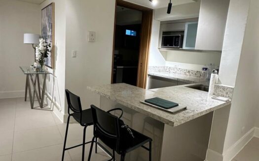 필리핀 아얄라 알라방 고급콘도 매매 | Botanika Nature Residences 2베드